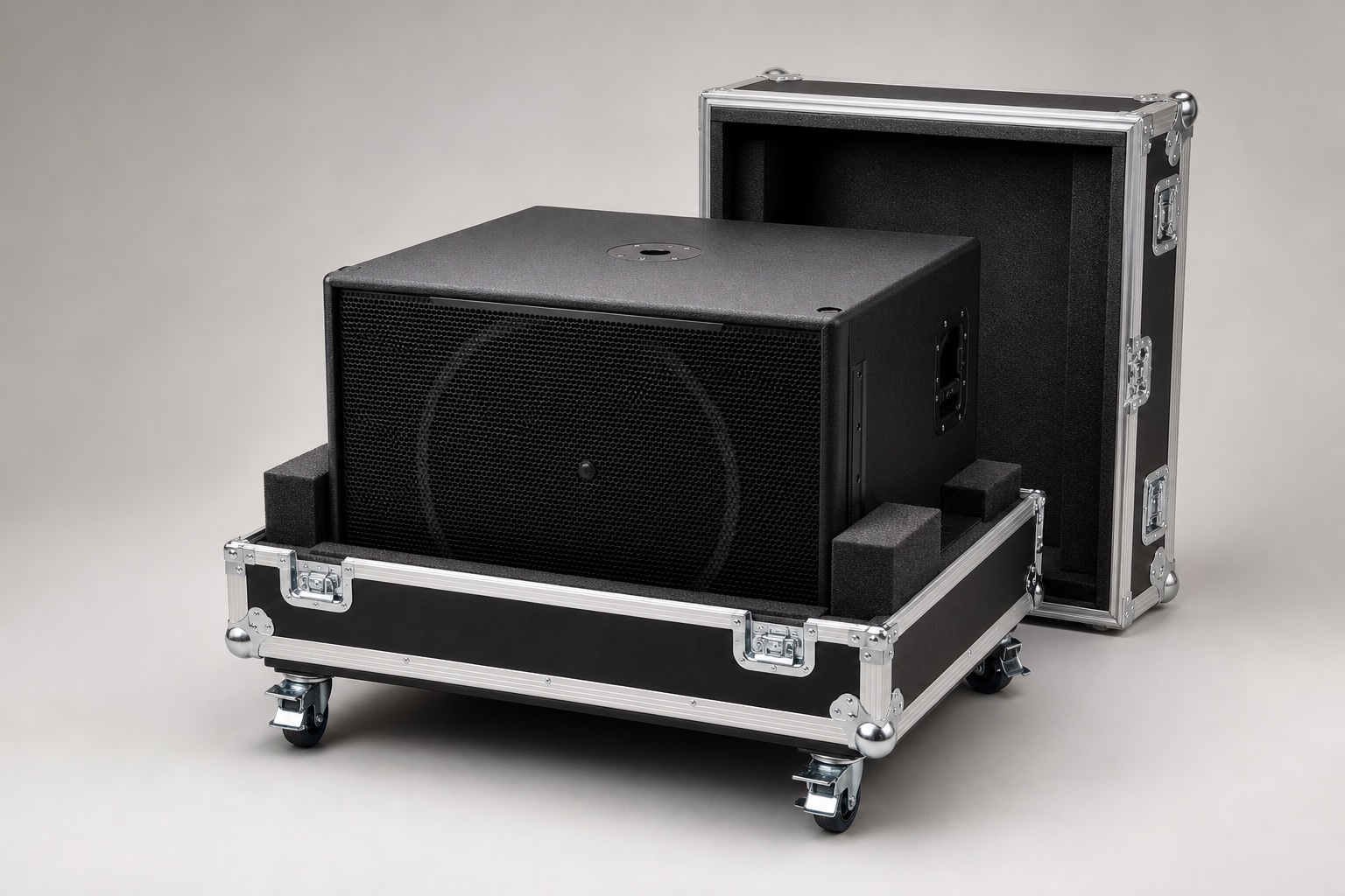 18 inch subwoofer heavy case